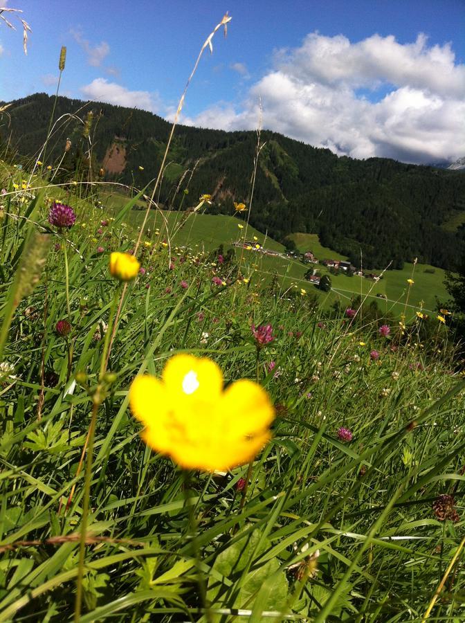 Goetschlhof Hotell Schladming Eksteriør bilde